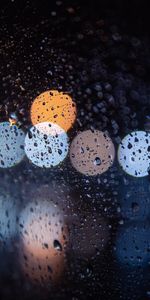 Drops,Macro,Bokeh,Boquet,Dozh,Dog,Glass