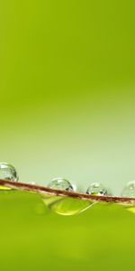 Drops,Macro,Surface,Wet