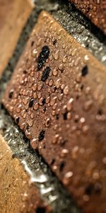 Drops,Macro,Pared