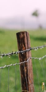 Drops,Miscellanea,Miscellaneous,Fence,Barbed Wire