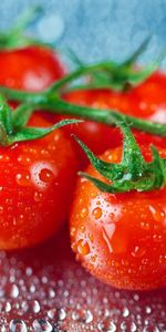 Brindille,Brin,Tomates,Cerise,Drops,Nourriture