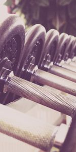 Dumbbells,Gymnasium,Gym,Sports