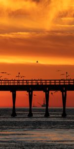 Dusk,Bridge,Nature,Birds,Sunset,Sea,Twilight