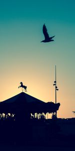 Carrousel,Rêverie,Crépuscule,Silhouette,Oiseau,Rêves,Sombre