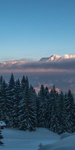 Neige,Crépuscule,Hiver,Arbres,Montagnes,Nature