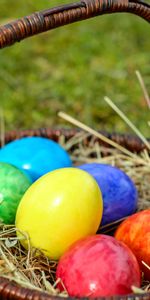 Eggs,Basket,Hay,Holidays,Easter