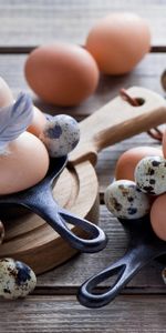 Oeufs De Caille,Œufs De Poule,Œufs De Caille,Eggs,Plumes,Oeufs De Poule,Nourriture