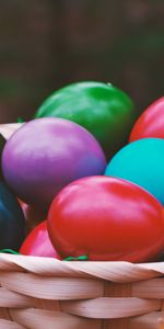 Eggs,Motley,Basket,Holidays,Easter,Multicolored