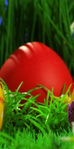 Eggs,Objects,Holidays