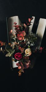 Eucalyptus,Flowers,Miscellanea,Miscellaneous,Bouquet,Dark,Book