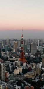 Evening,Cities,City,Tower