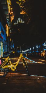 Evening,Cities,Street,Bicycle,City