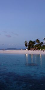 Evening,Nature,Palms,Tropics,Maldives,Beach