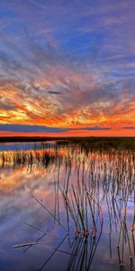 Everglades,Marais,Etats Unis,Nature,Floride,États Unis