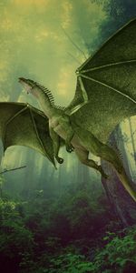 Bosque,Niebla,Vuelo,El Dragón,Photoshop,Dragón,Fantasía