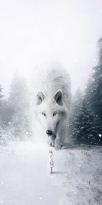 Neige,Photoshop,Enfant,Brouillard,Loup,Fantaisie