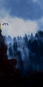 Fantasy,Rock,Lock,Fog,Forest,Dragon