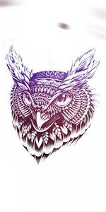 Plumes,Hibou,Chouette,Visage,Vecteur,Art