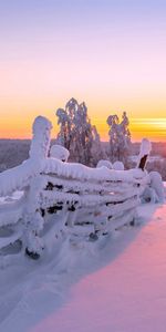 Fence,Winter,Sunset,Nature,Landscape