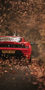 Coches,Vista Trasera,Scuderia,Carreras,Otoño,Ferrari