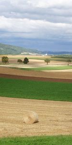 Field,Hay,Bales,August,Nature