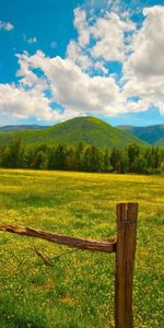 Field,Nature,Grass,Summer,Fence,Sky