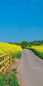 Routes,Les Champs,Paysage