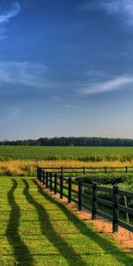 Fields,Nature,Greens,Fence,Agriculture