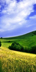 Fields,Nature,Landscape