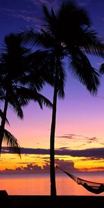 Fiji,Nature,Sunset,Palms,Shore,Bank,Evening,Hammock