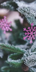 Fir,Spruce,Christmas Decoration,Holidays,Snowflake