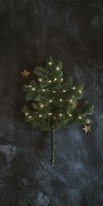 Épicéa,Guirlande,Sapin,Branche,Nouvel An,Fêtes,Noël