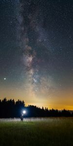 Fir,Spruce,Human,Person,Lamp,Night,Dark,Lantern,Nebula