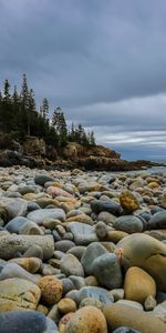 Naturaleza,Stones,Bosque,Abeto,Playa