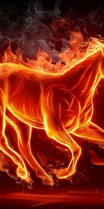 Fire,Background,Pictures,Horses