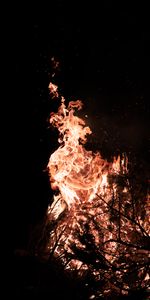 Bonfire,Branches,Sombre,Flamme,Feu