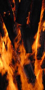 Fire,Coals,Dark,Miscellanea,Miscellaneous,Firewood,Flame,Bonfire