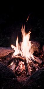 Bonfire,Bois De Chauffage,Brûler,Flamme,Bois À Brûler,Feu,Divers