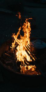 Fuego,Hoguera,Noche,Vajilla,Cámping,Oscuro,Camping