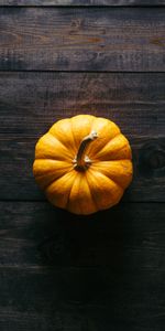 Floor,Wood,Wooden,Shadow,Pumpkin,Minimalism