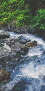 Flow,Creek,Brook,Nature,Water,Stones,Spray