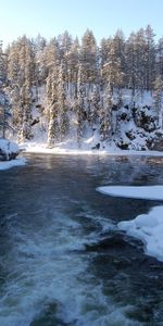 Naturaleza,Árboles,Hielo,Nieve,Corriente,Finlandia,Ríos,Flujo,Escarcha