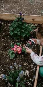 Miscelánea,Cama De Flores,Parterre,Niño,Pasatiempo,Afición,Interesar,Interés,Flores,Misceláneo,Fotógrafo,Niña,La Chica