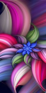 Flower,Brush,Abstract,Form,Rotation