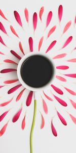 Fleur,Pétales,Coupe,Une Tasse,Minimalisme