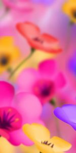 Flowers,Background