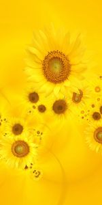 Fleurs,Contexte,Tournesols