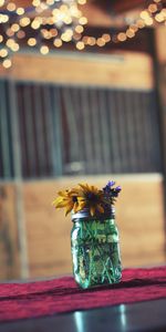 Flowers,Bank,Blur,Smooth,Table,Jar,Vase