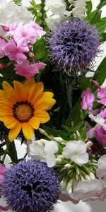 Fleurs,Bouquet,Composition,Beauté