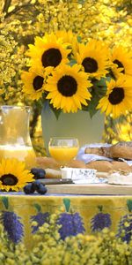 Flowers,Beauty,Bouquet,Jug,Table,Buns,Vase,Garden,Grapes,Sunflowers